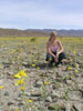 Ronnie in a field of wildflowers, Death Valley National Park, CA.