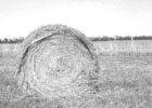 Hay bale in a field in western Kansas.