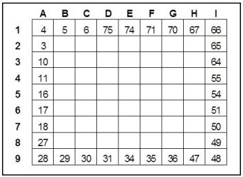 A 9 x 9 grid puzzle with perimeter numbers shown.
