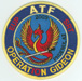 The Bureau of ATF Operation Gideon Home Invasion Task Force (Phoenix, AZ - 2009).