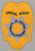 The California Department of Justice badge.