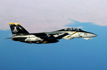 The F-14 Tomcat.